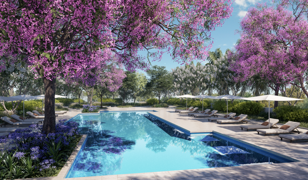 Luxury swimming pool at Ritz-Carlton Residences Tampa surrounded by blooming pink Jacaranda trees and white sun loungers.